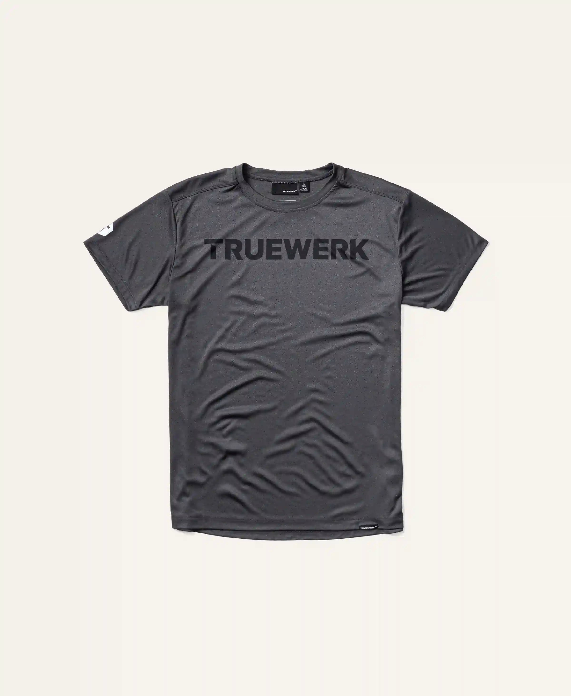 truewerkpro.it.com